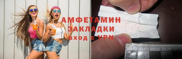 стаф Алзамай