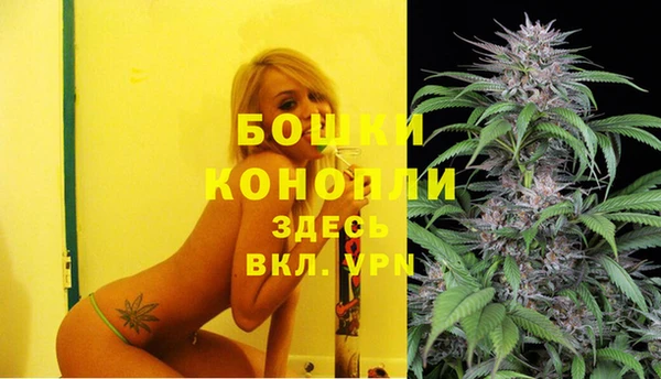 apvp Абаза